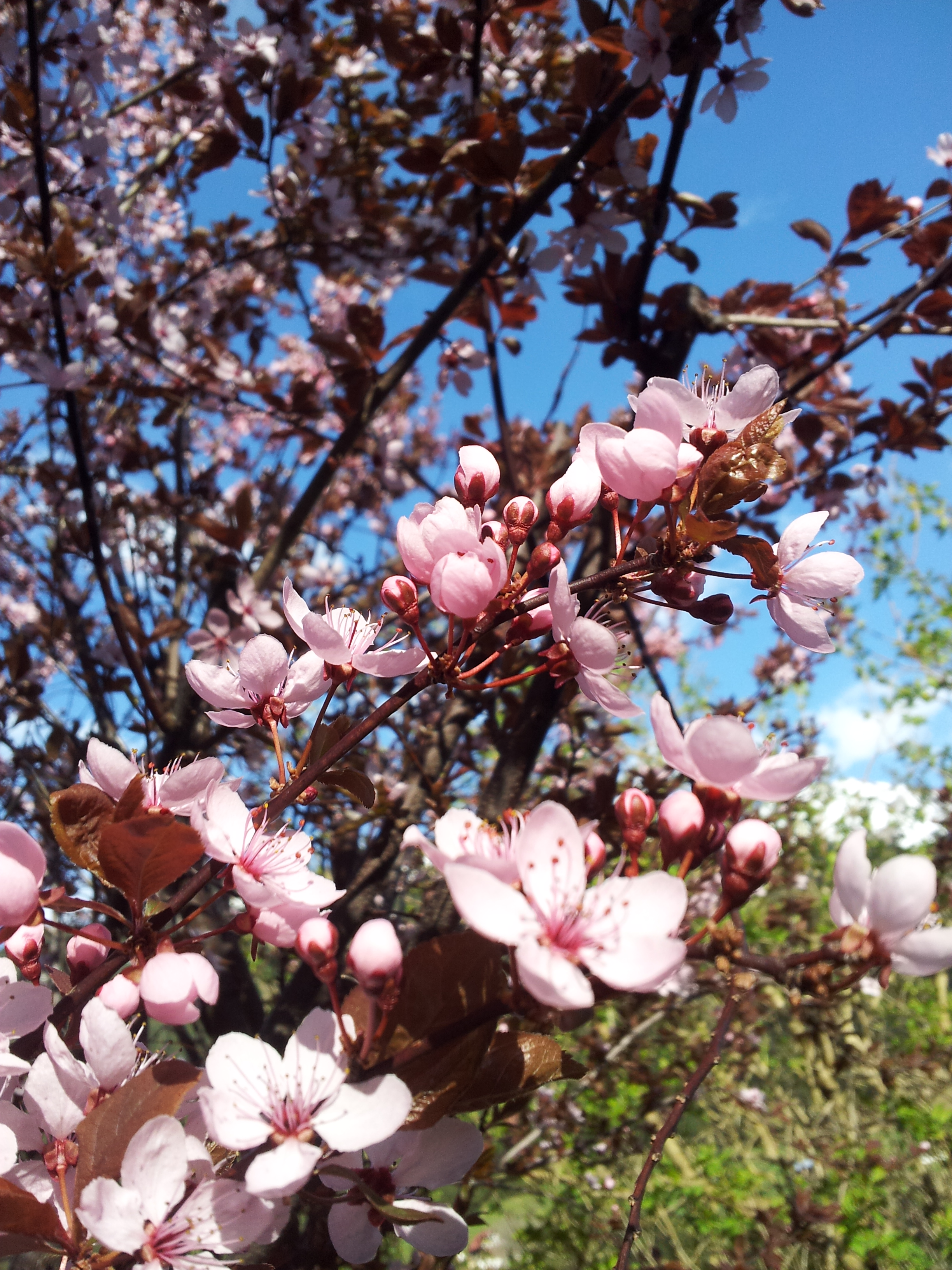 20120504_182022