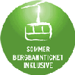 Bergbahnticket 1